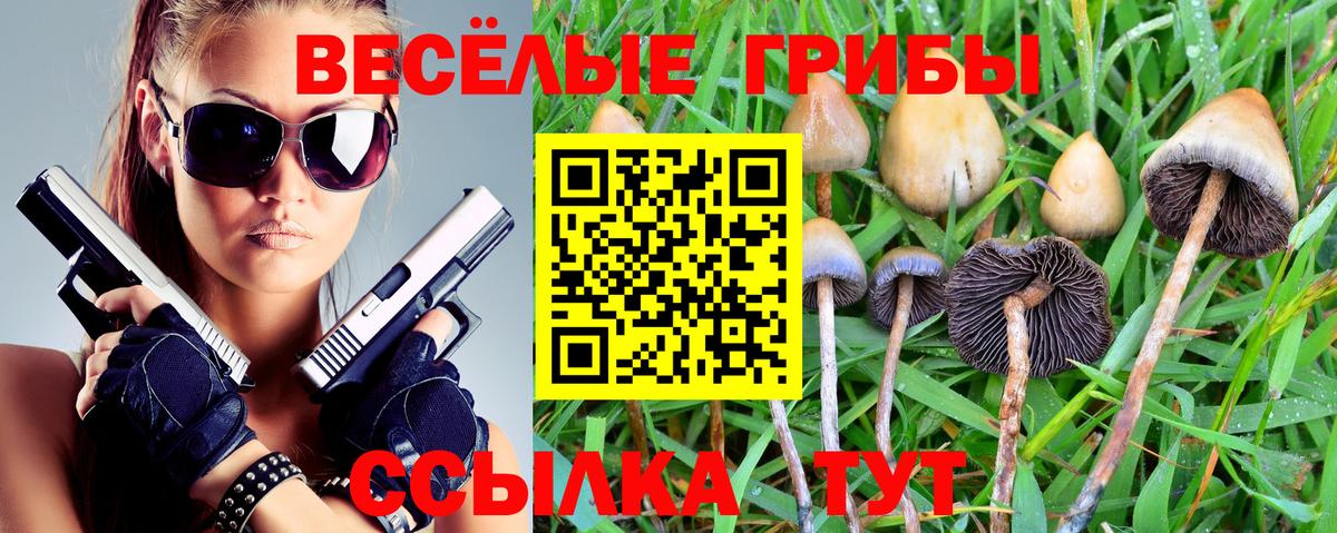 Псилоцибиновые грибы Magic Shrooms Благодарный