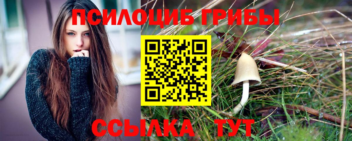 Благодарный  Псилоцибиновые грибы Psilocybine cubensis  Вход с VPN 